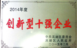 創新型十強企業